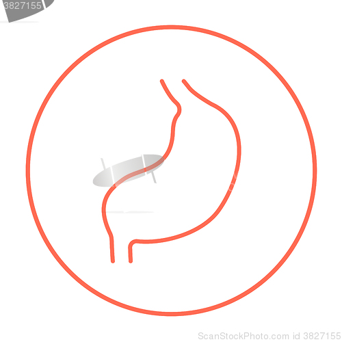 Image of Stomach line icon.