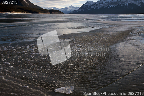 Image of Abraham Lake Winter