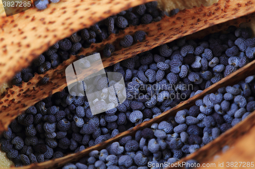 Image of poppy seeds texture