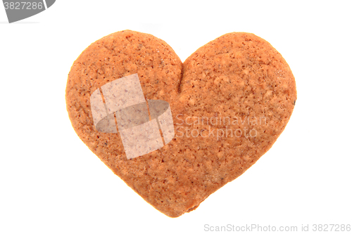 Image of ginger head isolated