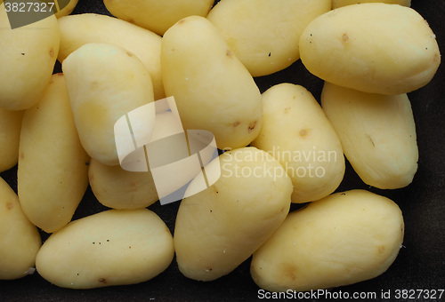 Image of Potato vegetables in a tub