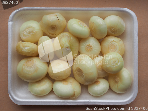 Image of Onions vegetables