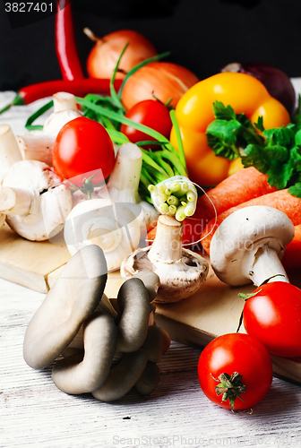 Image of Harvest fresh mushrooms