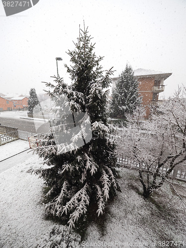 Image of Winter scene with snow