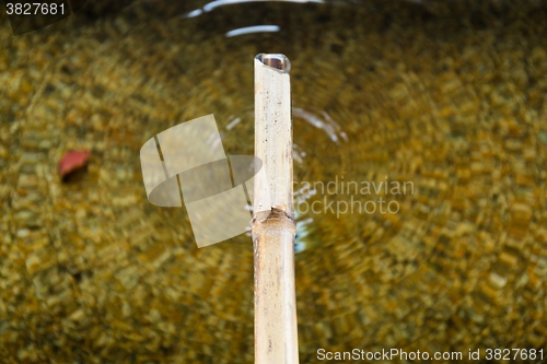 Image of Bamboo fountain in traditional Japanese garden