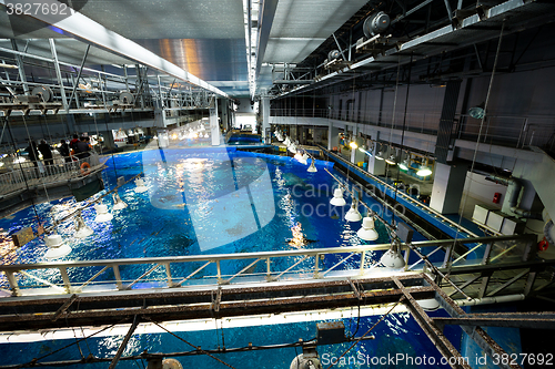 Image of Giant Water tank in Aquarium