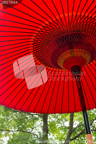 Image of Japanese red umbrella under tree