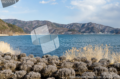 Image of Lake Kawaguchi