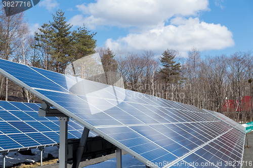 Image of Solar panel plant