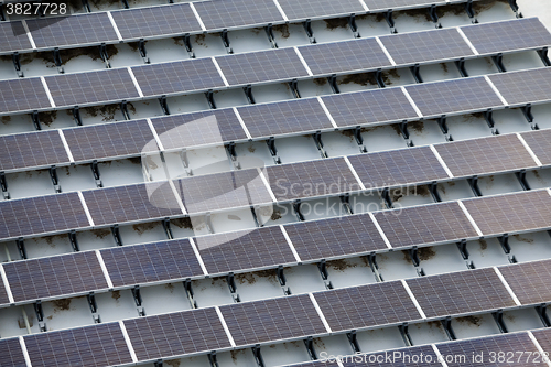 Image of Solar panel plant