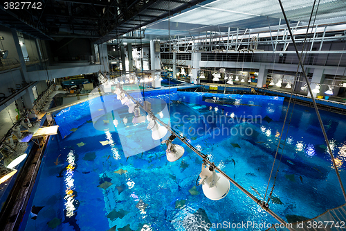 Image of Water tank in Aquarium