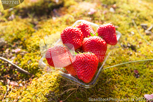 Image of Fresh strawberries in a plastic package