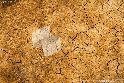 Image of Cracked mud