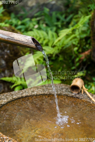 Image of Traditional bamboo fountain