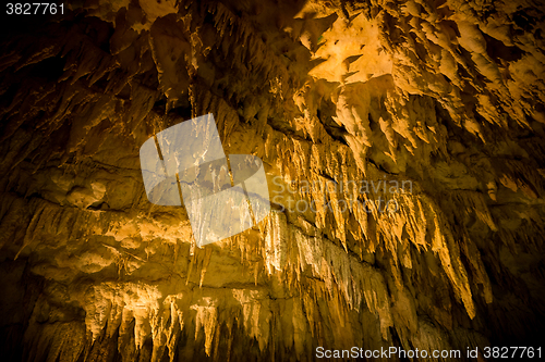 Image of Stalactites in cave