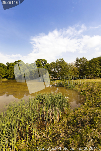 Image of small lake ,  summer 