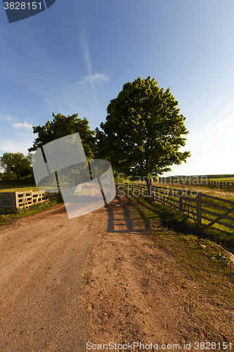 Image of rural road ,  fence