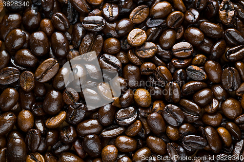 Image of Coffee beans background