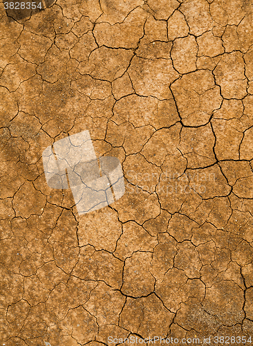 Image of Cracked of mud 