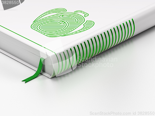 Image of Education concept: closed book, Backpack on white background