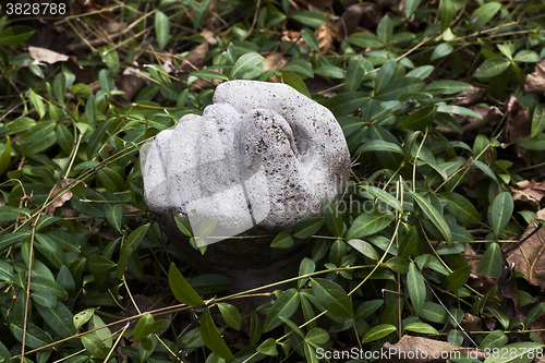 Image of clenched fist