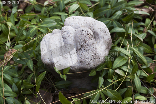 Image of fist from ground