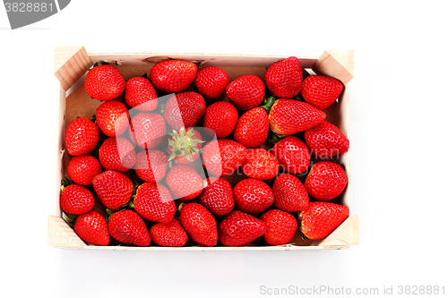 Image of delicious strawberries