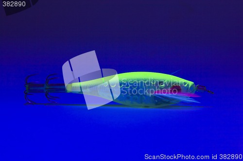 Image of lure