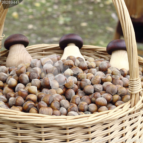 Image of Hazelnuts  in basket