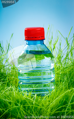 Image of Water bottle on the grass