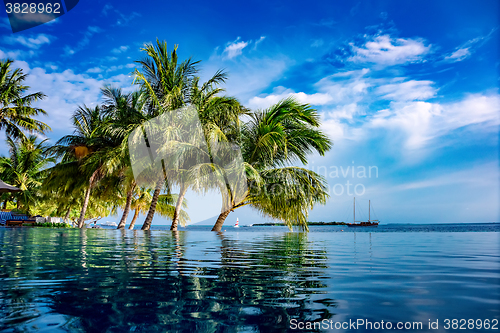 Image of Maldives beach