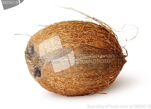 Image of Coconut lying horizontally