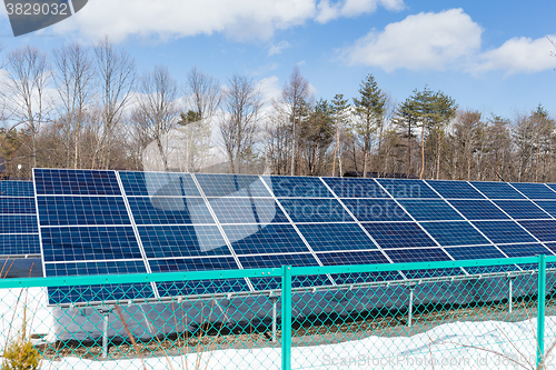 Image of Solar panel in forest