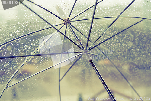 Image of Wet transparent umbrella 