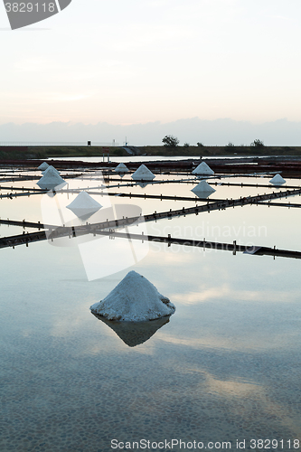 Image of Sea salt in salt farm