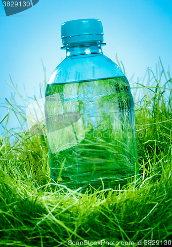 Image of Water bottle on the grass