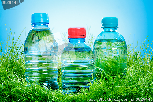 Image of Water bottle on the grass