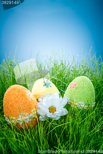 Image of Decorated easter eggs