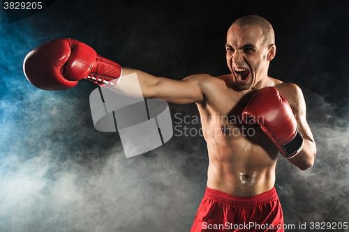 Image of The young man kickboxing in blue smoke