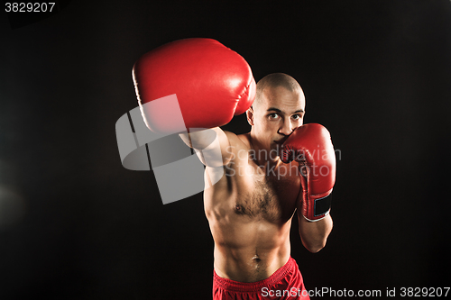 Image of The young man kickboxing on black