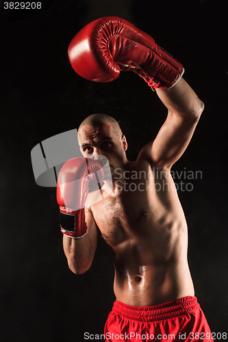 Image of The young man kickboxing on black