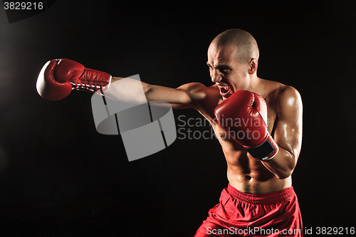 Image of The young man kickboxing on black