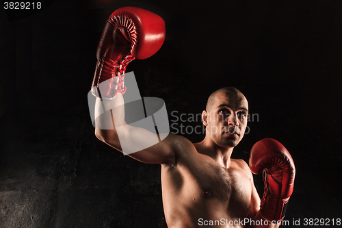 Image of The young man kickboxing on black