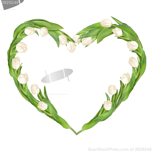 Image of Isolated tulip frame. EPS 10