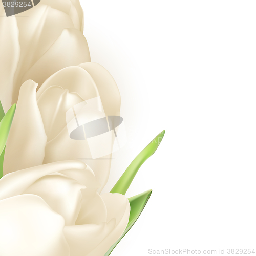 Image of Isolated tulip frame. EPS 10