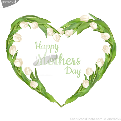 Image of White tulips isolated on white. EPS 10
