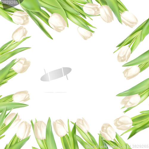 Image of Isolated tulip frame. EPS 10
