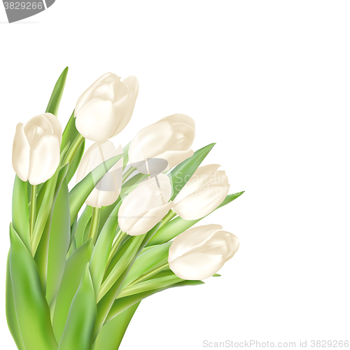 Image of Tulips decorative background. EPS 10