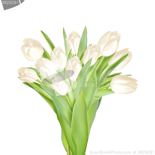 Image of Tulips decorative background. EPS 10