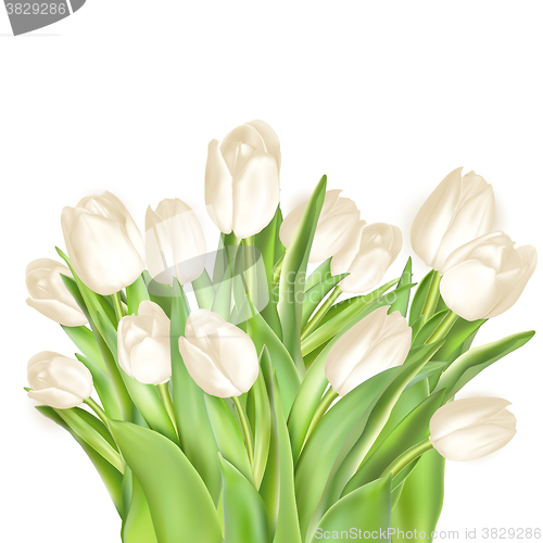 Image of Tulips decorative background. EPS 10